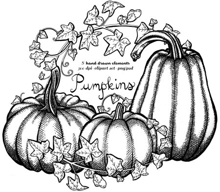 Тыква Графика