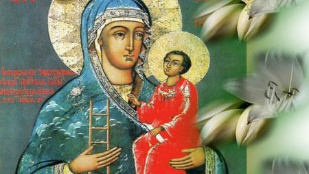 7 Мая икона Божией матери Молченская
