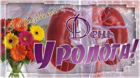 День уролога