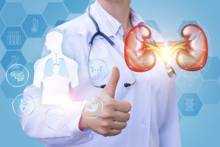 Урология картинки