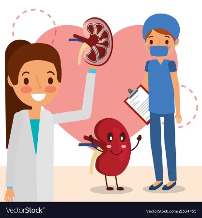 Уролог рисунок