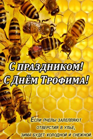 Трофим Зосима пчелиная