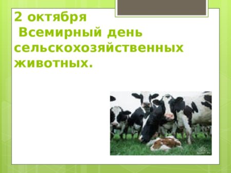 Всемирный день сельхоз животных