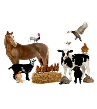 Всемирный день сельскохозяйственных животных 2 октября