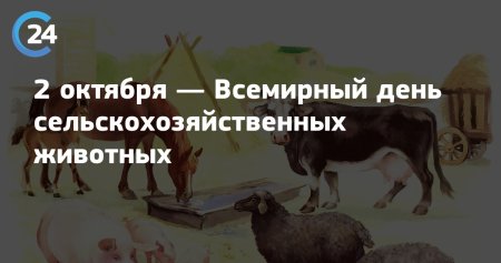 Всемирный день сельхоз животных