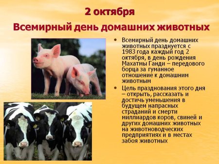 Всемирный день сельскохозяйственных животных