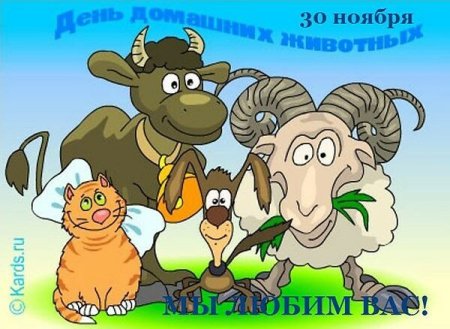 Всемирный день домашних животных 30 ноября