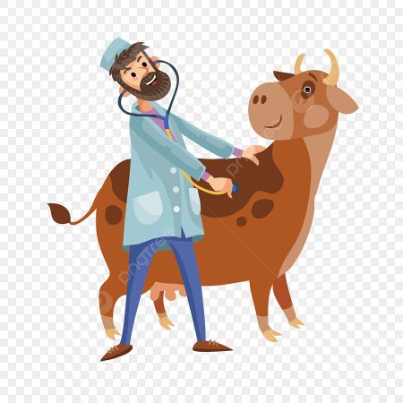 Ветеринарный врач с коровой