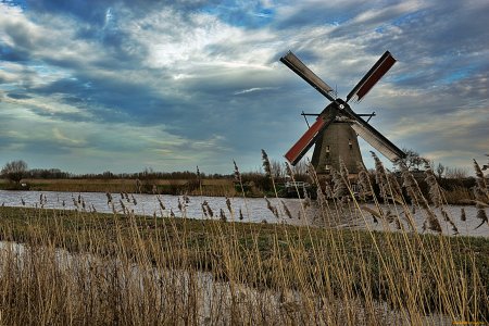 Мельница в поле