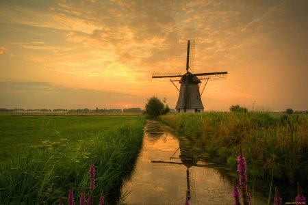 Котово поле мельница