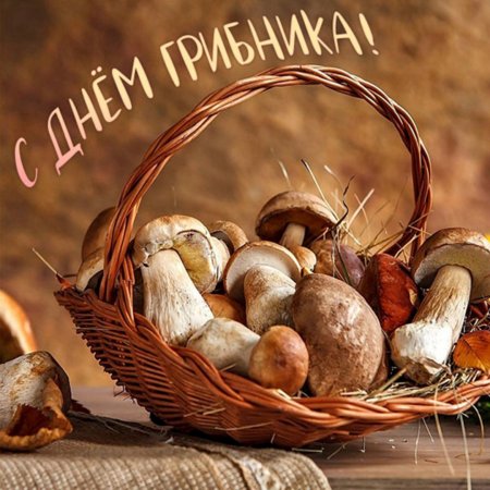 Корзинка с белыми грибами