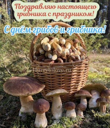 День грибника поздравления