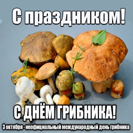 День грибника