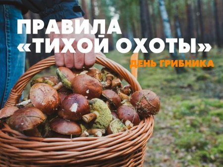 Всемирный день грибника