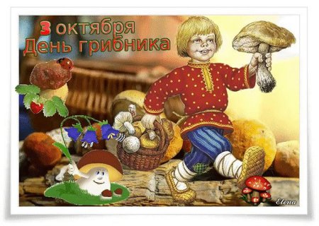 Всемирный день грибника 3 октября