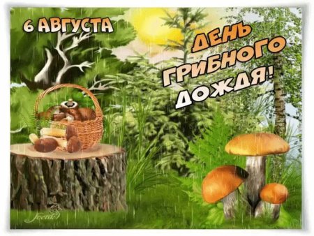 День грибного дождя 6