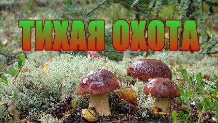 Надпись Тихая охота