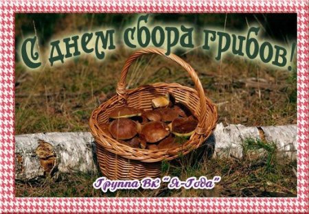 7 Сентября день грибов