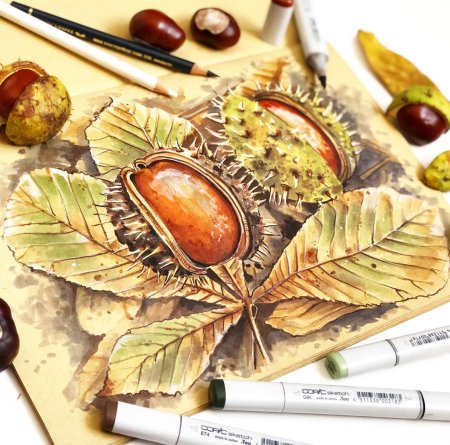 Осенняя атмосфера и предметы скетчинг