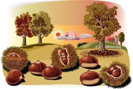 Каштан дерево арт