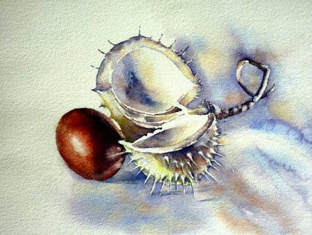 Акварели Thomas Habermann