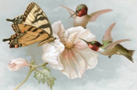 Маленькие птички и бабочки