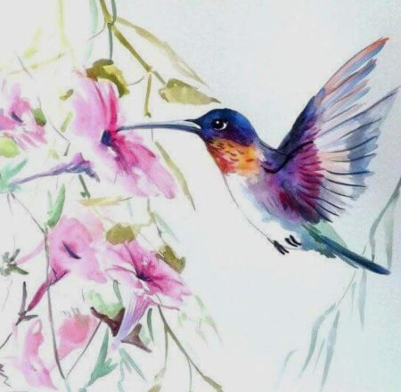 Райские птицы акварель