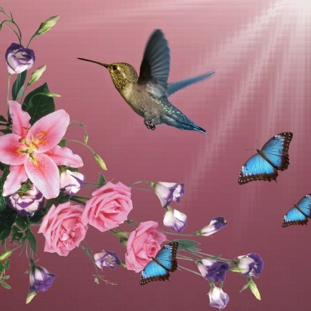 Красивые цветы бабочки птички