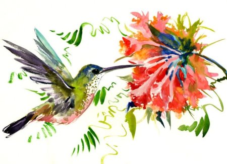 Райские птицы акварель