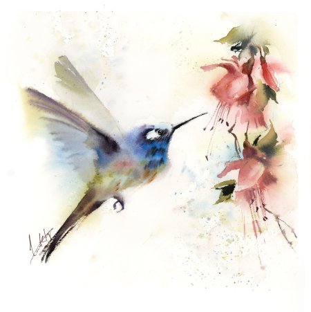 Аманда фаубус Колибри