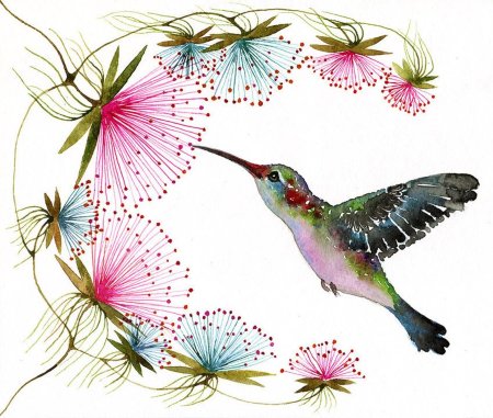 Экзотические птицы акварель