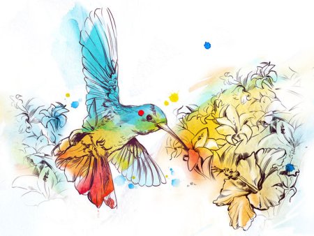 Эскиз птица Графика и акварель