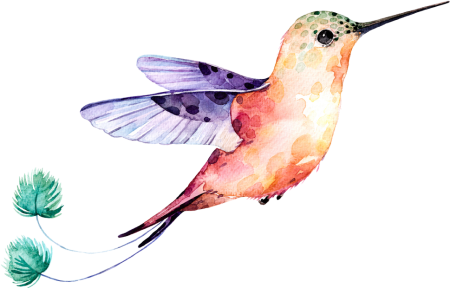Колибри в юбке рисунок PNG на прозрачном