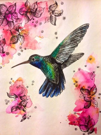 Колибри карандашом и красками