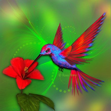 Экзотические птицы и бабочки