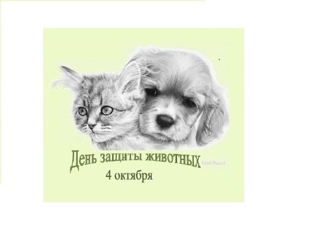 4 Октября день защиты животных