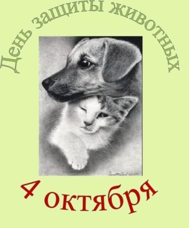 Всемирный день животных