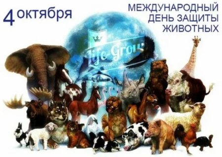 День защиты животных