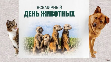 Всемирный день животных