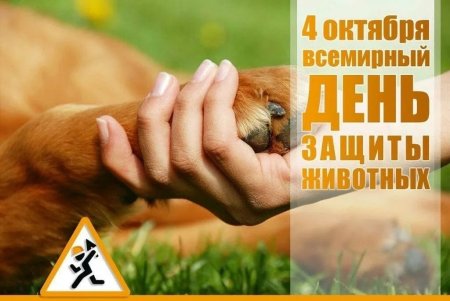 Всемирный день защиты животных