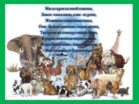 Всемирный день животных