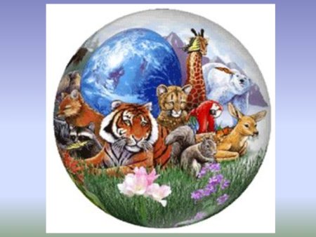 Земной шар с обитателями