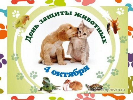 День защиты животных