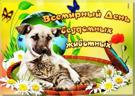 Всемирный день бездомных животных