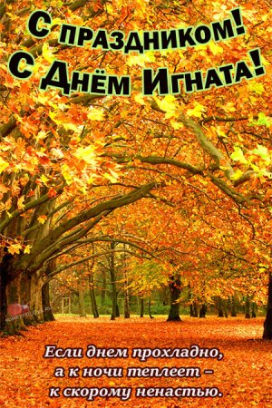 С листопадным днем