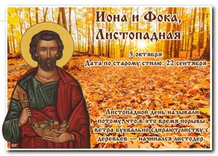 Иона и ФОКА (Листопадная)