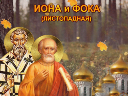 Иона и ФОКА Листопадная 5 октября гиф