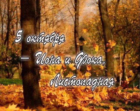 Иона и ФОКА Листопадная 5 октября