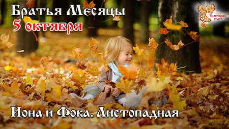 Иона и ФОКА (Листопадная)
