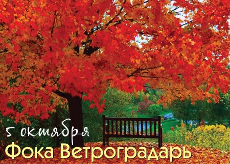 Иона и ФОКА Листопадная 5 октября